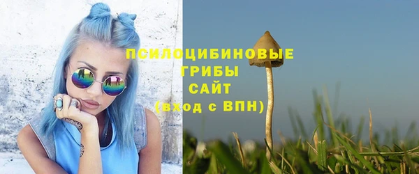 твердый Абаза