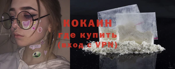 твердый Абаза