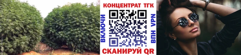 MEGA зеркало  купить наркотики цена  Алупка  ТГК жижа 